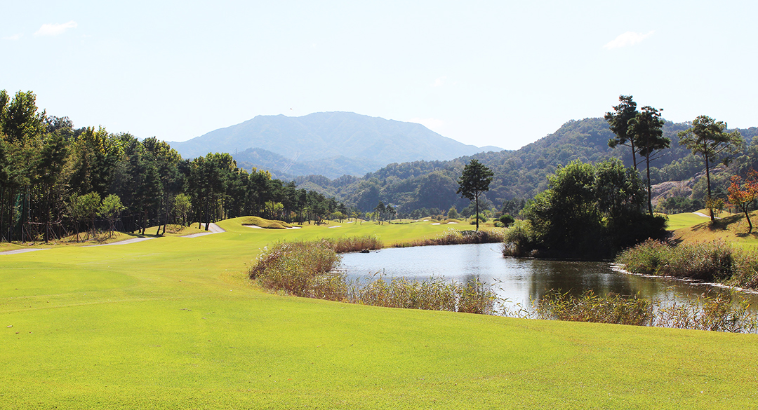 포도컨트리클럽 골프장 예약 이미지 5