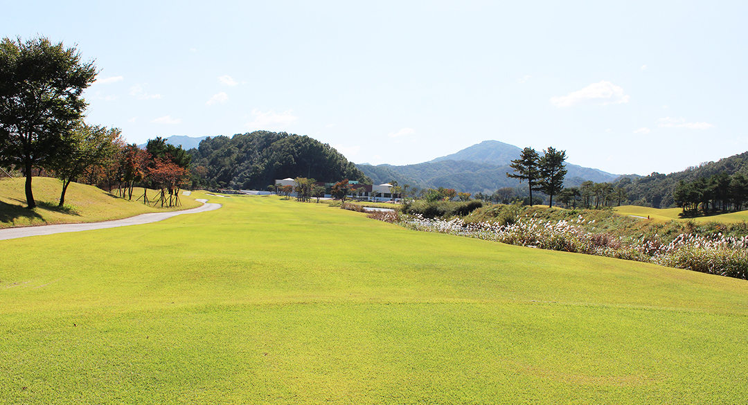 포도컨트리클럽 골프장 예약 이미지 4