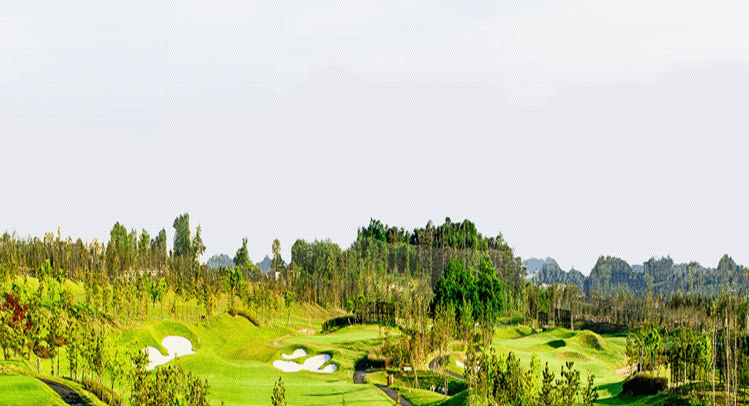 아세코밸리(P9)골프클럽 골프장 예약 이미지 5