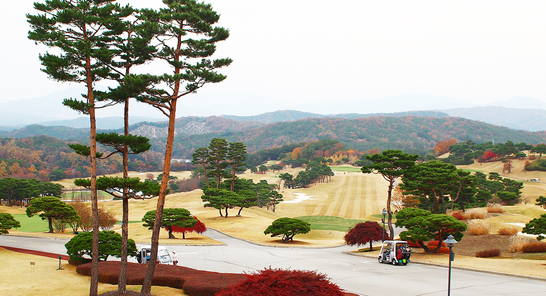 아도니스컨트리클럽 골프장 예약 이미지 2