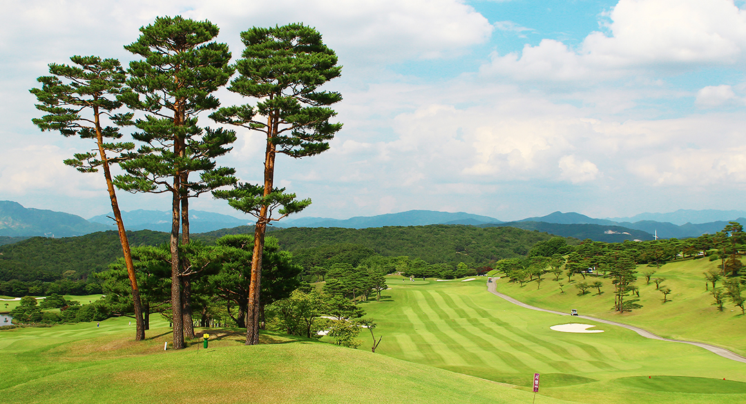 아도니스컨트리클럽 골프장 예약 이미지 5