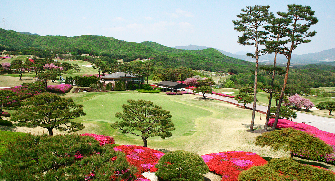 아도니스컨트리클럽 골프장 예약 이미지 3