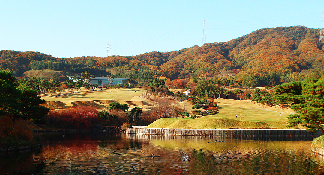 아도니스컨트리클럽 골프장 예약 이미지 1