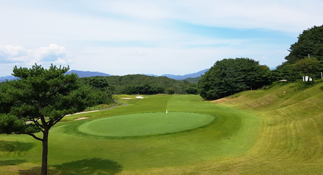 아도니스(P9)컨트리클럽 골프장 예약 이미지 2