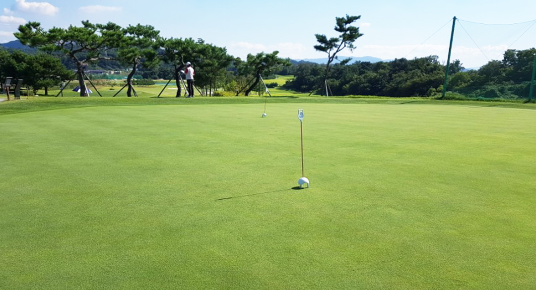 제천에콜리안(P9)컨트리클럽 골프장 예약 이미지 2