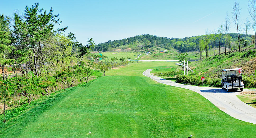 영광에콜리안(P9)컨트리클럽 골프장 예약 이미지 4