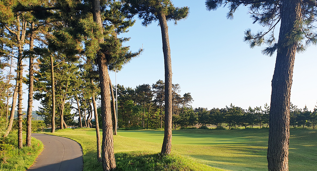 에스앤(P9)골프클럽 골프장 예약 이미지 4