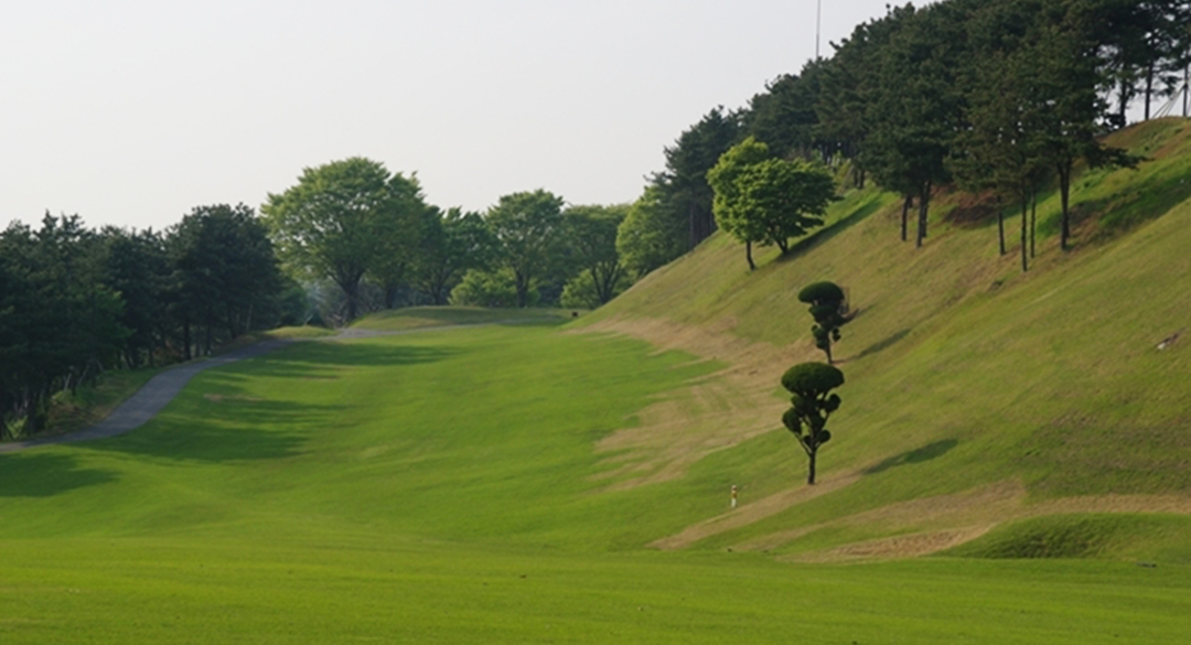 태광(P9)퍼블릭 골프장 예약 이미지 4