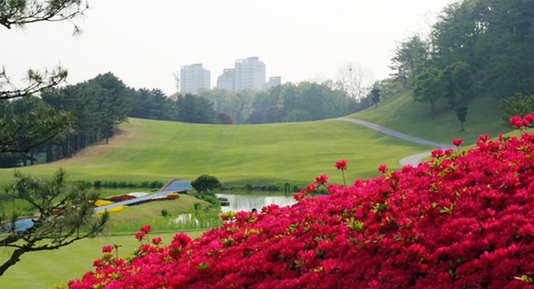 태광(P9)퍼블릭 골프장 예약 이미지 5