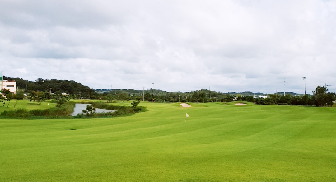 링크나인(P9) 골프장 예약 이미지 6