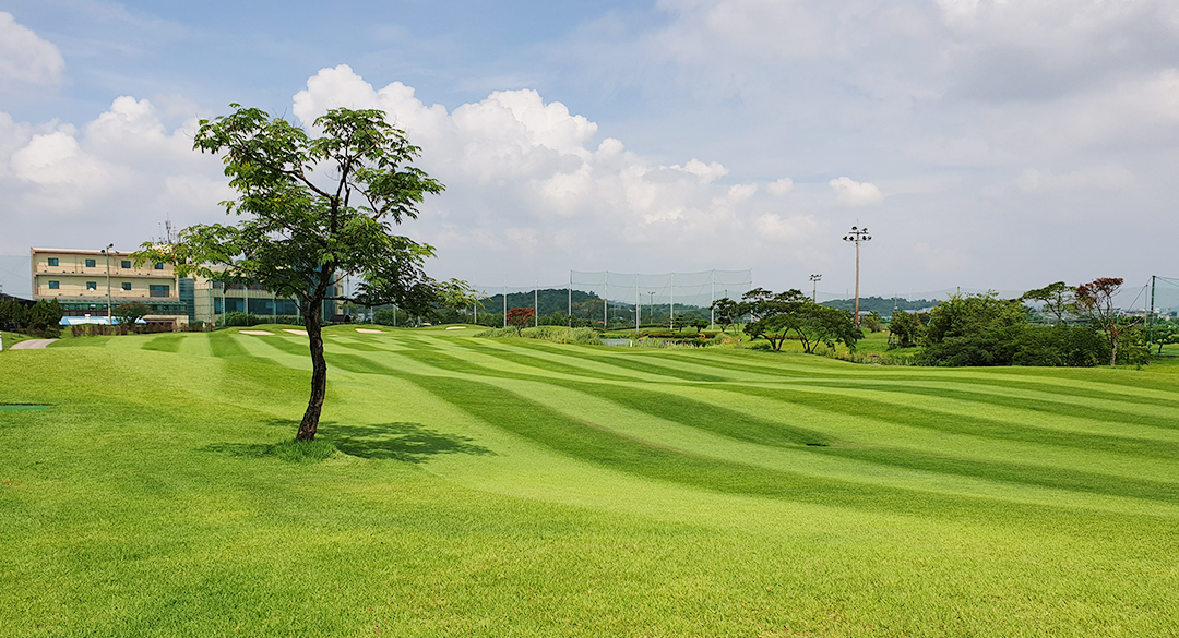링크나인(P9) 골프장 예약 이미지 4