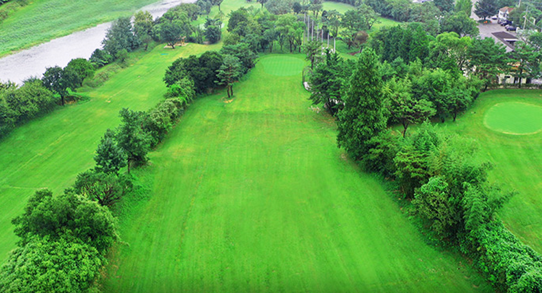 하동(P9)골프클럽 골프장 예약 이미지 4