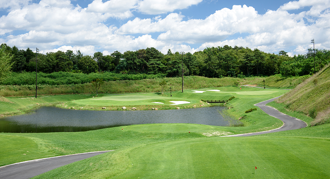 더나인(P9)골프클럽 골프장 예약 이미지 2