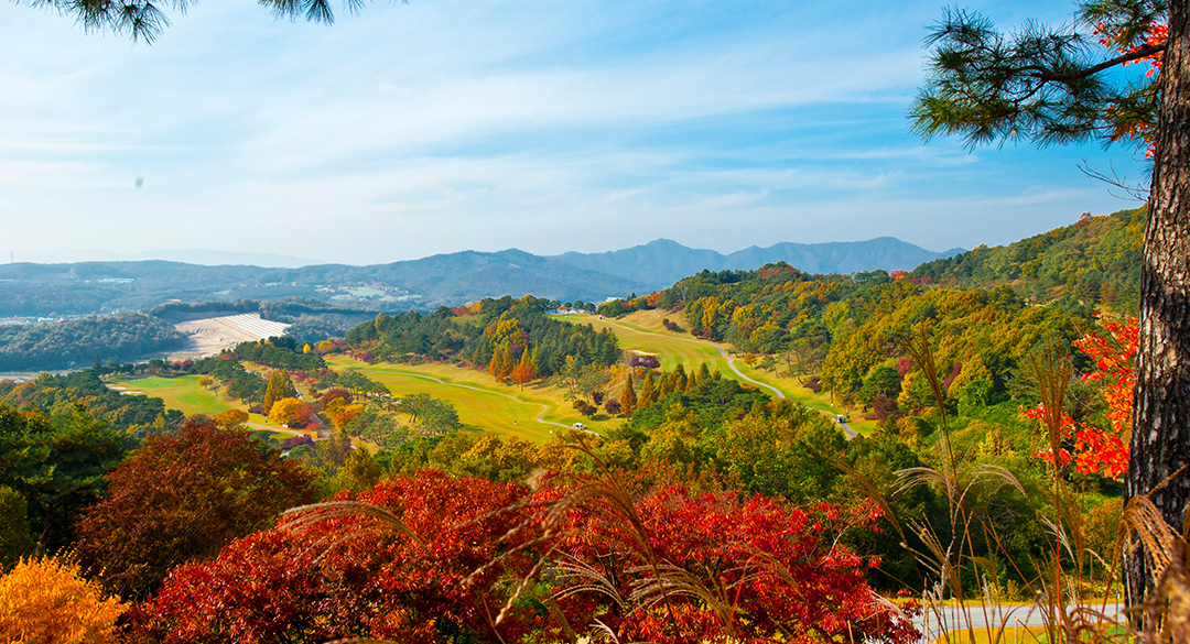 여주신라컨트리클럽 골프장 예약 이미지 3