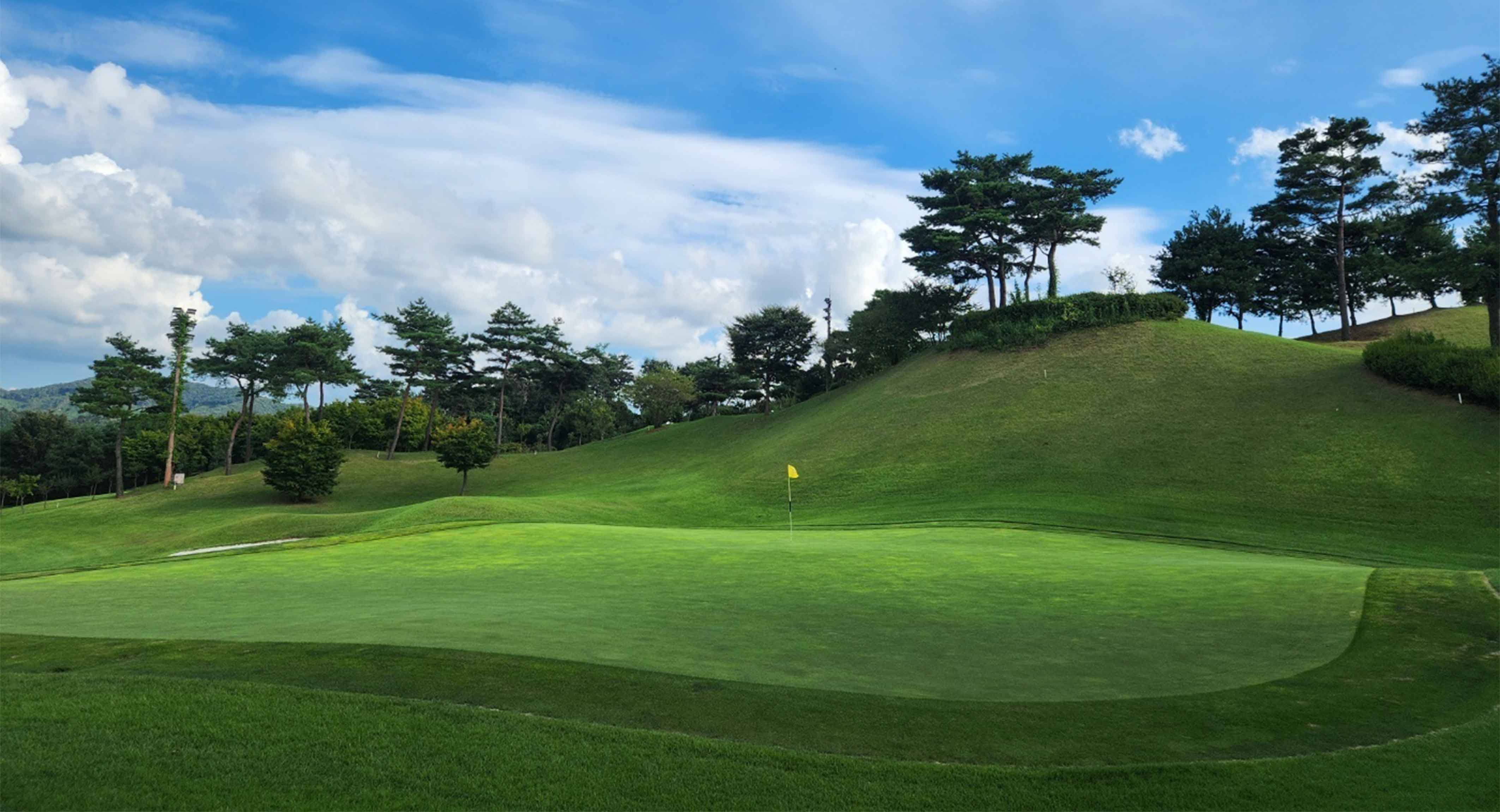 더힐컨트리클럽 골프장 예약 이미지 1