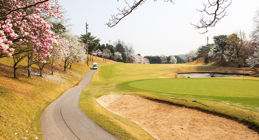 라비돌(P9) 골프장 예약 이미지 5