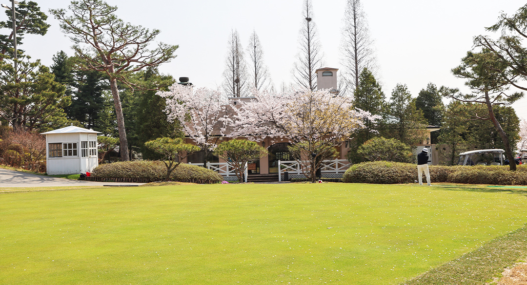 라비돌(P9) 골프장 예약 이미지 6