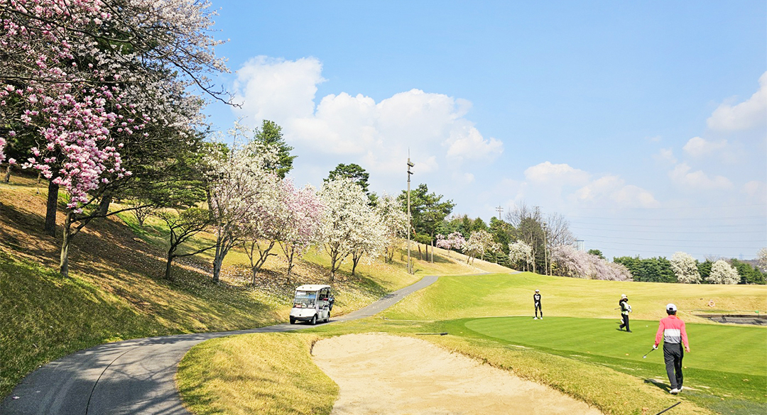 라비돌(P9) 골프장 예약 이미지 3