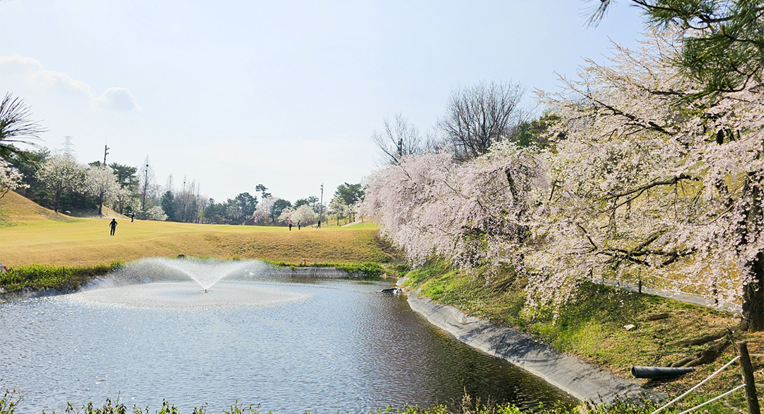 라비돌(P9) 골프장 예약 이미지 4