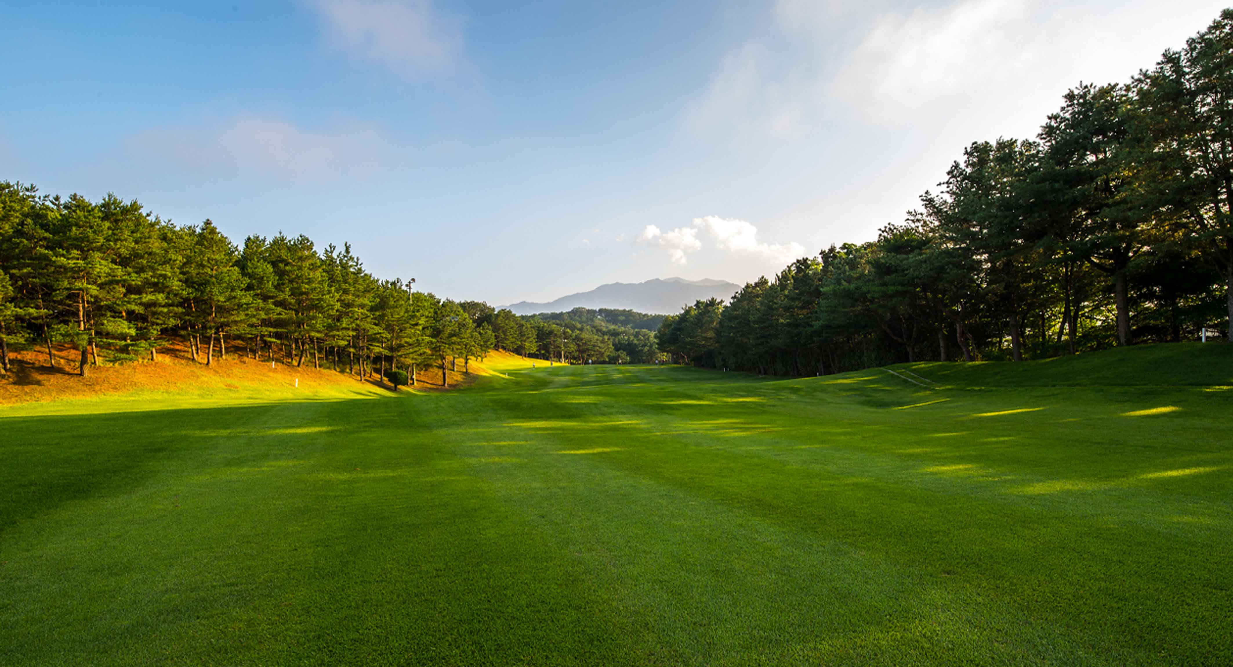 영랑호컨트리클럽 골프장 예약 이미지 6