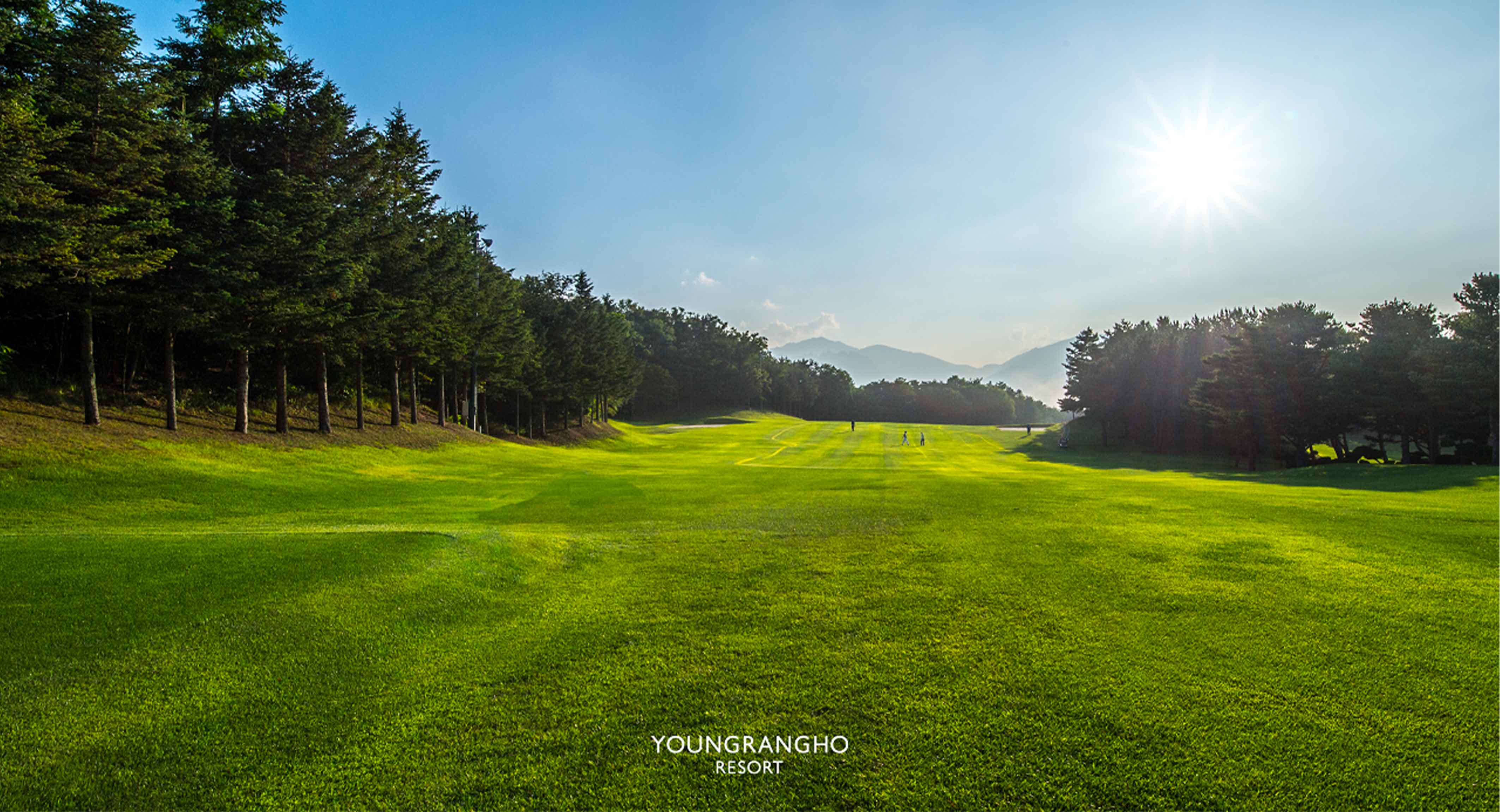 영랑호컨트리클럽 골프장 예약 이미지 5