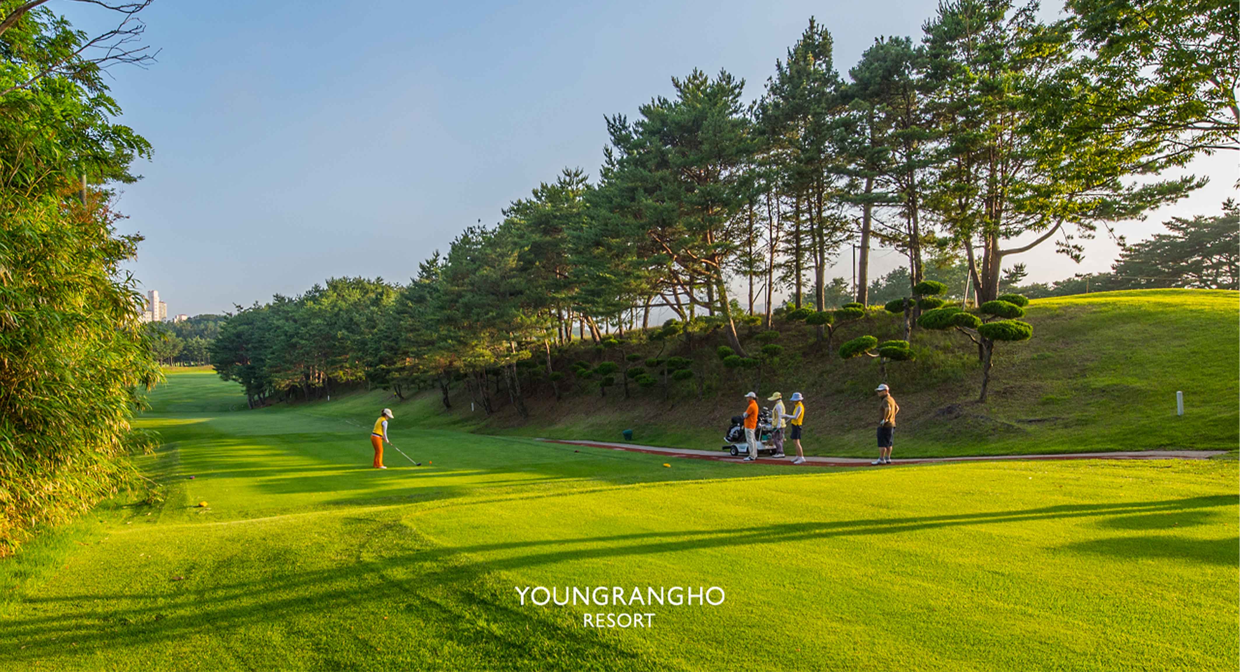 영랑호컨트리클럽 골프장 예약 이미지 4