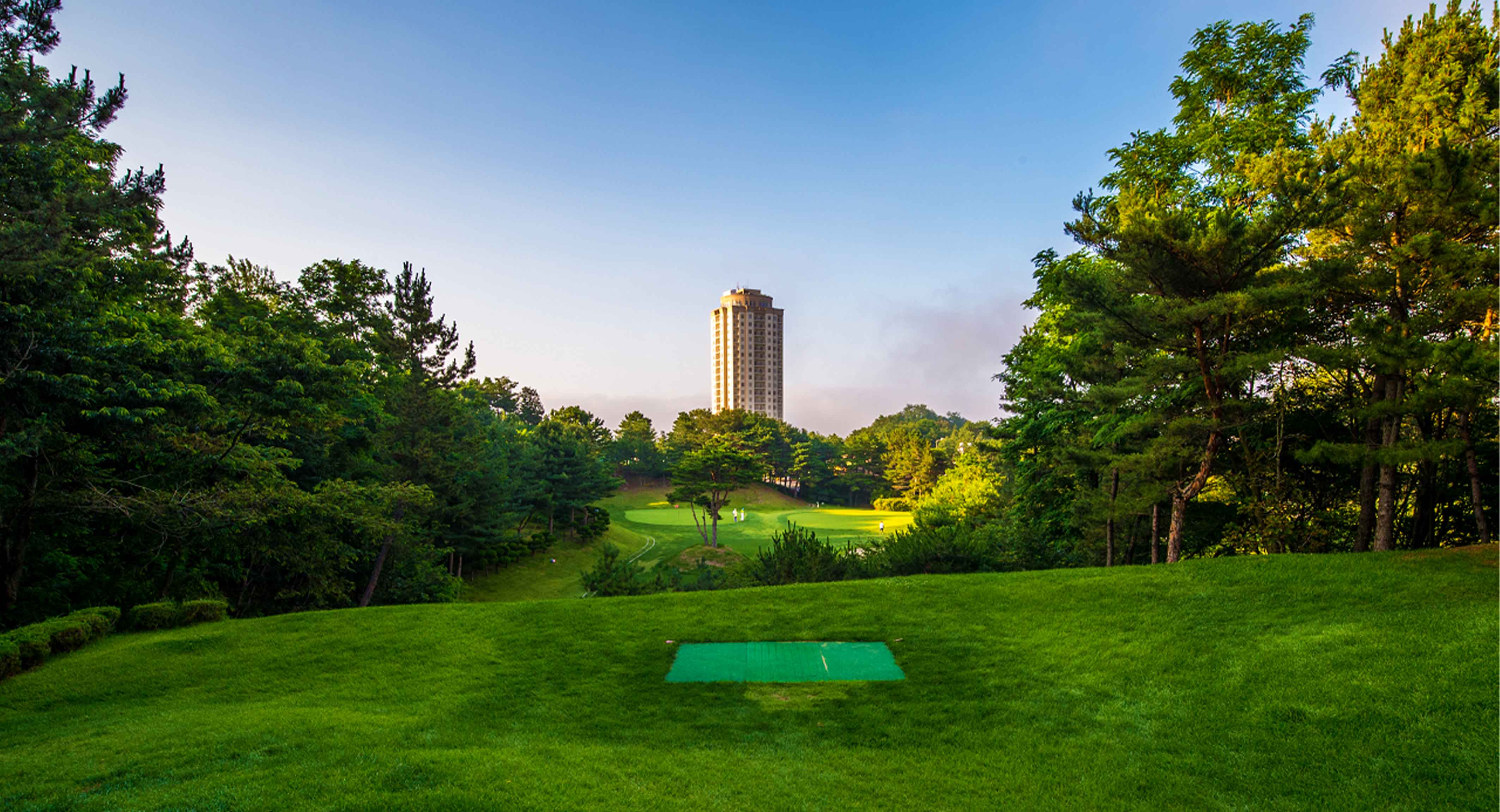 영랑호컨트리클럽 골프장 예약 이미지 3