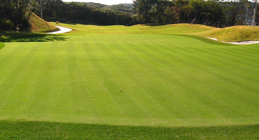 제이퍼블릭컨트리클럽 골프장 예약 이미지 5