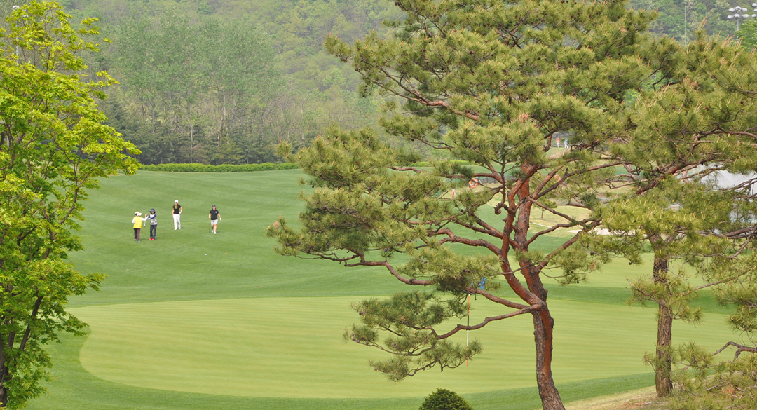 제이퍼블릭컨트리클럽 골프장 예약 이미지 3