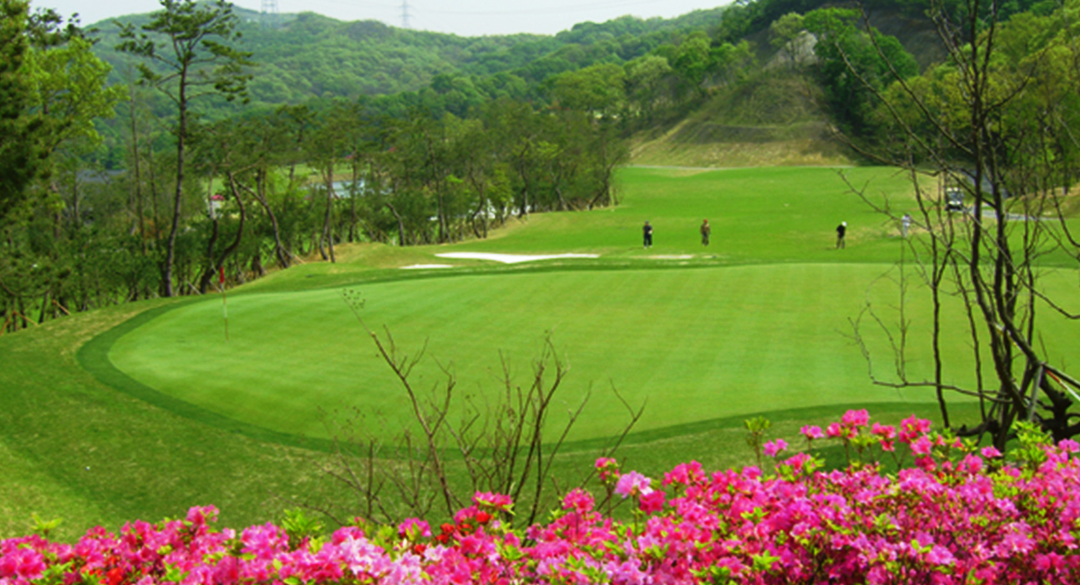 용인컨트리클럽 골프장 예약 이미지 1