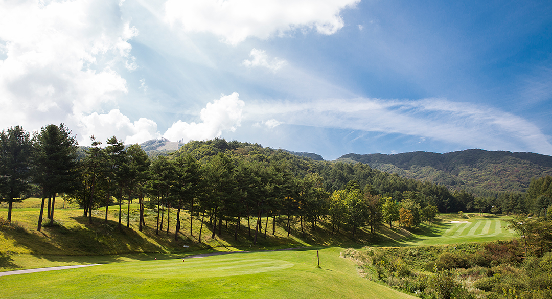 태기산컨트리클럽 골프장 예약 이미지 3