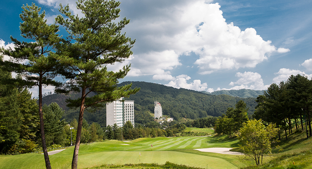 태기산컨트리클럽 골프장 예약 이미지 2