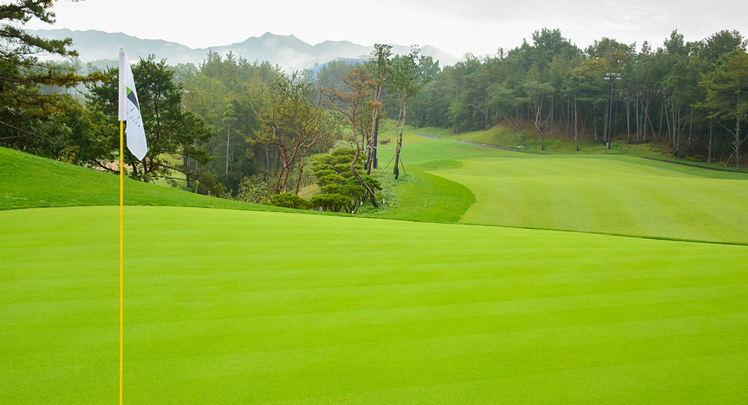 일라이트컨트리클럽 골프장 예약 이미지 3