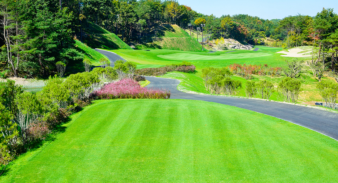 일라이트컨트리클럽 골프장 예약 이미지 2