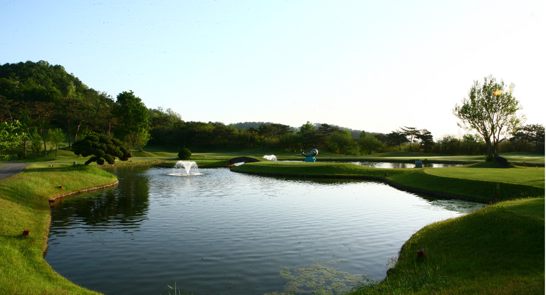 태인(P9)컨트리클럽 골프장 예약 이미지 2