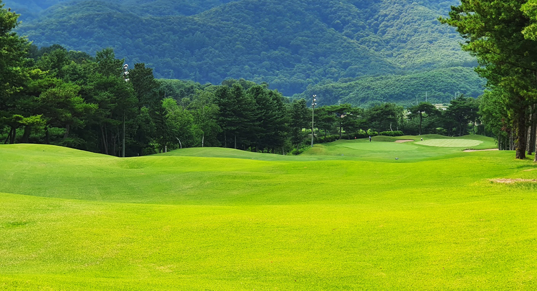 동서울레스피아(P10) 골프장 예약 이미지 1