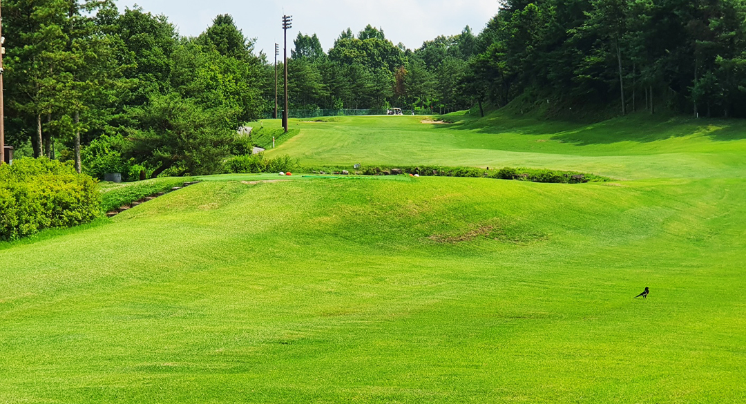 동서울레스피아(P10) 골프장 예약 이미지 2