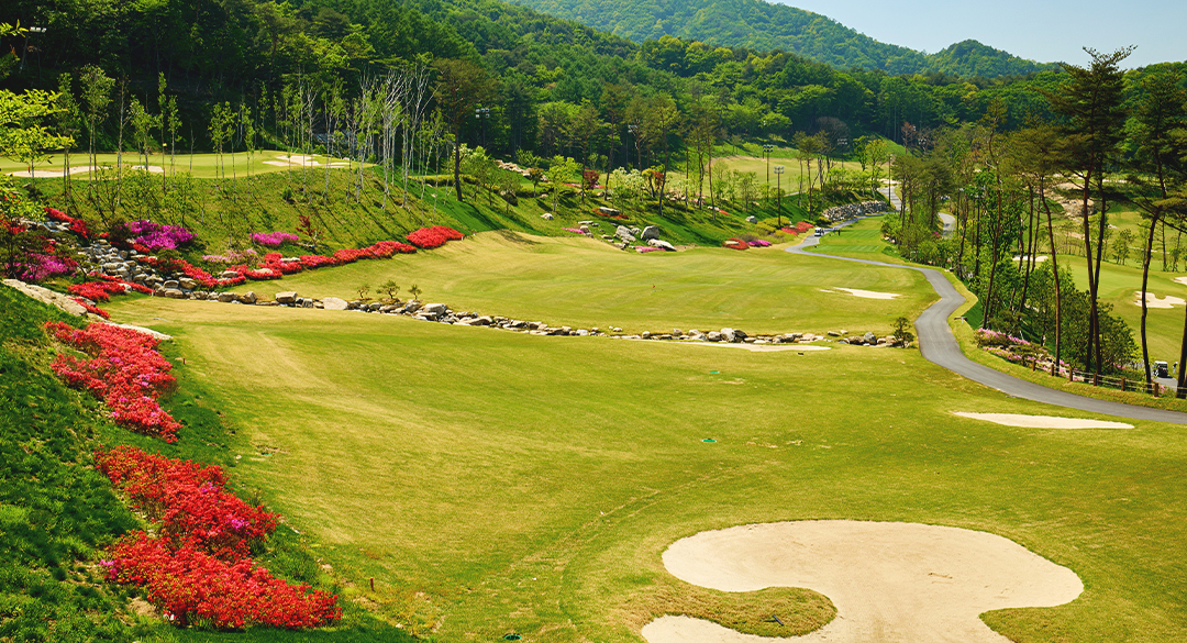 오로라골프앤리조트 골프장 예약 이미지 4