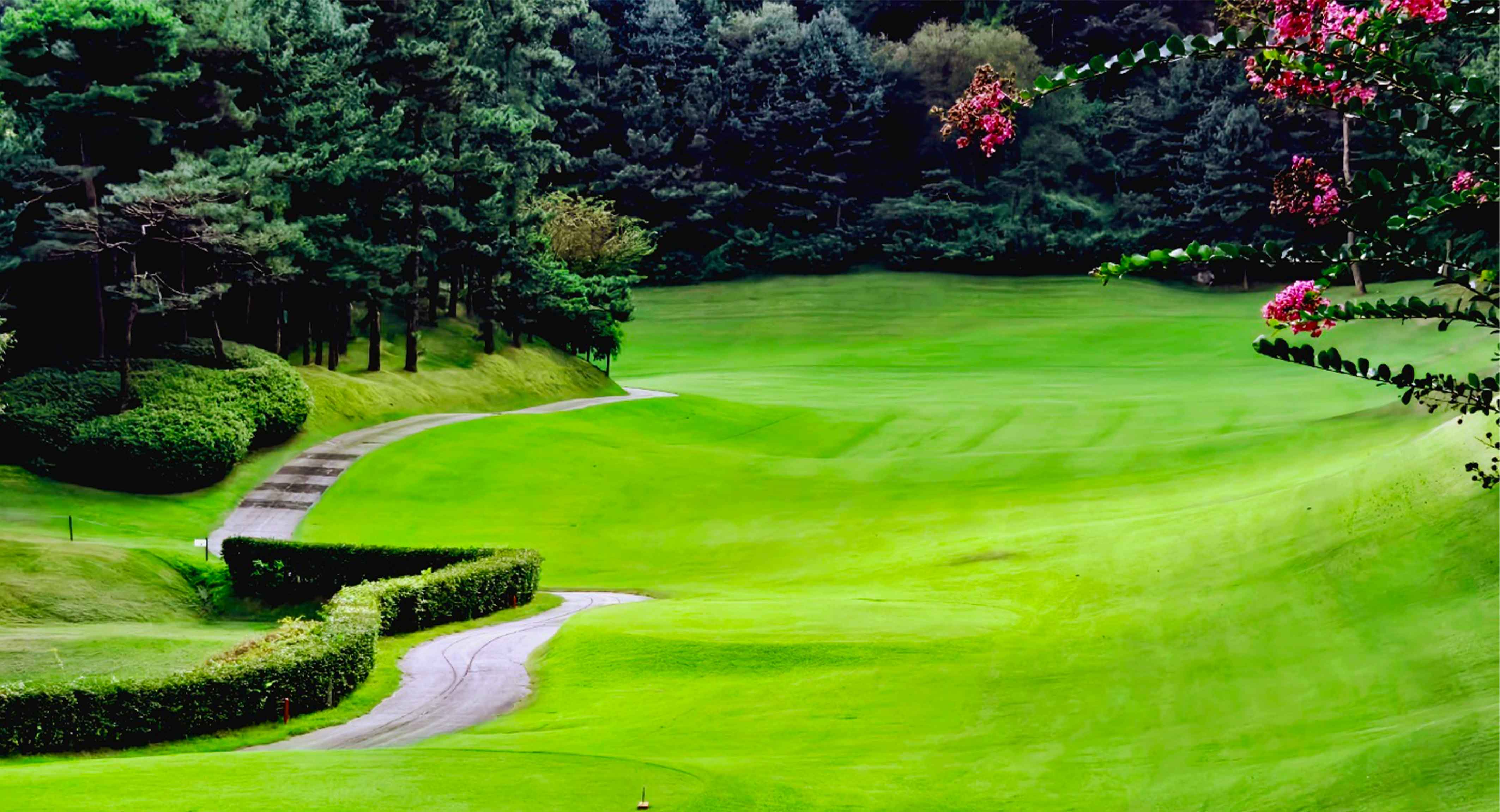 천룡(P)컨트리클럽 골프장 예약 이미지 1