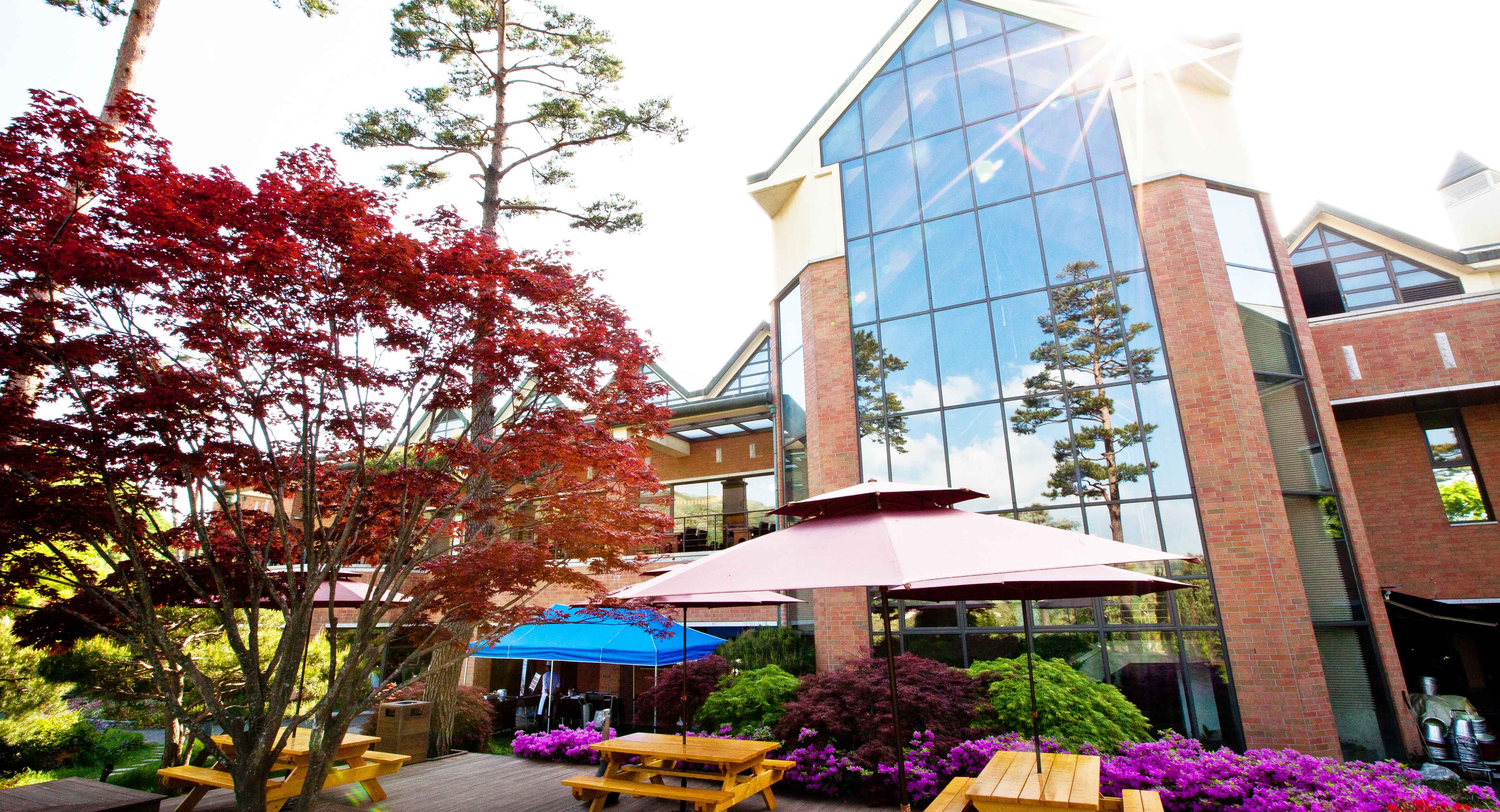 소노펠리체CC 웨스트컨트리클럽 골프장 예약 이미지 6