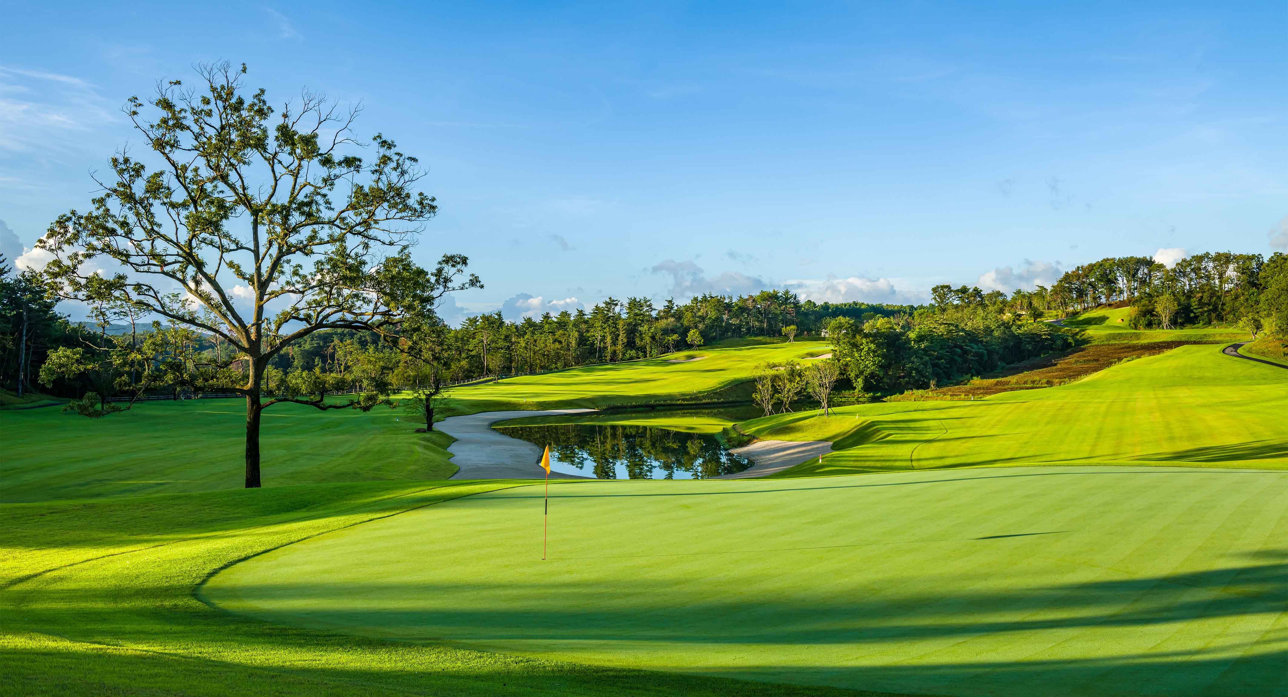 오르비스골프클럽 골프장 예약 이미지 7