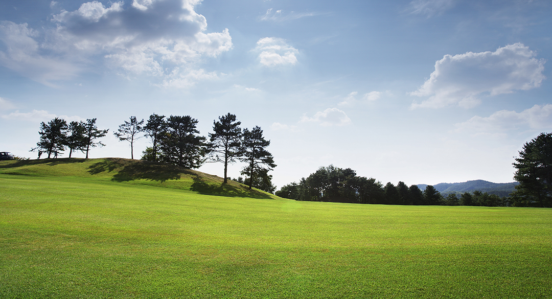플라자용인컨트리클럽 골프장 예약 이미지 1
