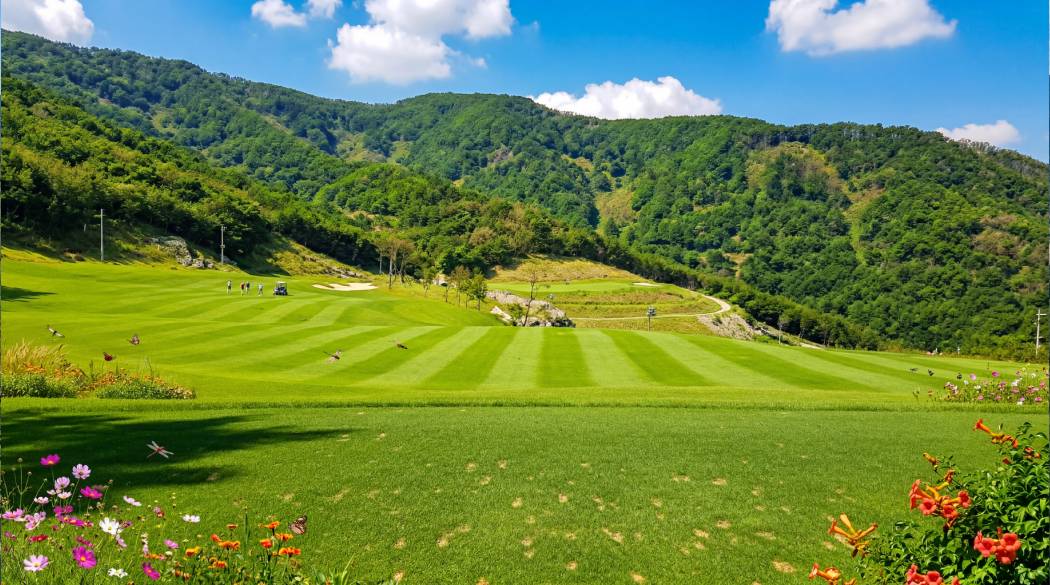 노블레스컨트리클럽 골프장 예약 이미지 4