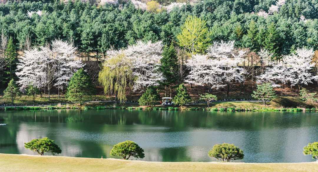 골드컨트리클럽 골프장 예약 이미지 4