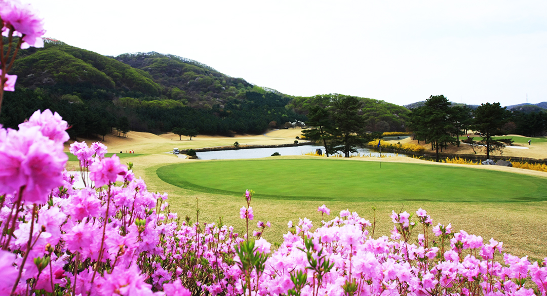 레이크사이드컨트리클럽 골프장 예약 이미지 5