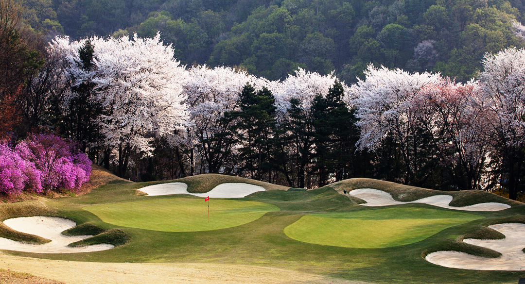 수원컨트리클럽 골프장 예약 이미지 1