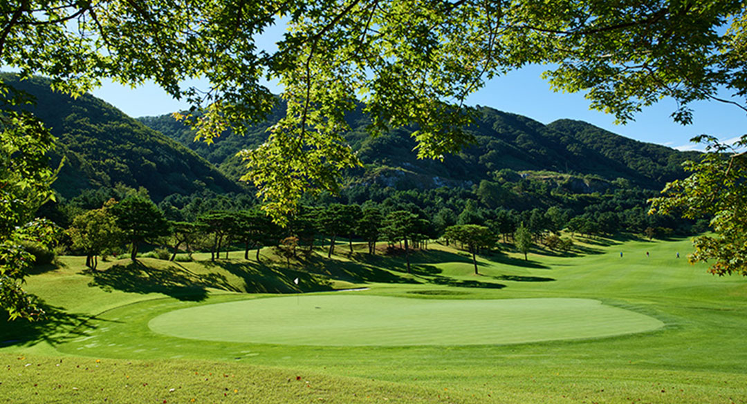 블루원용인컨트리클럽 골프장 예약 이미지 4