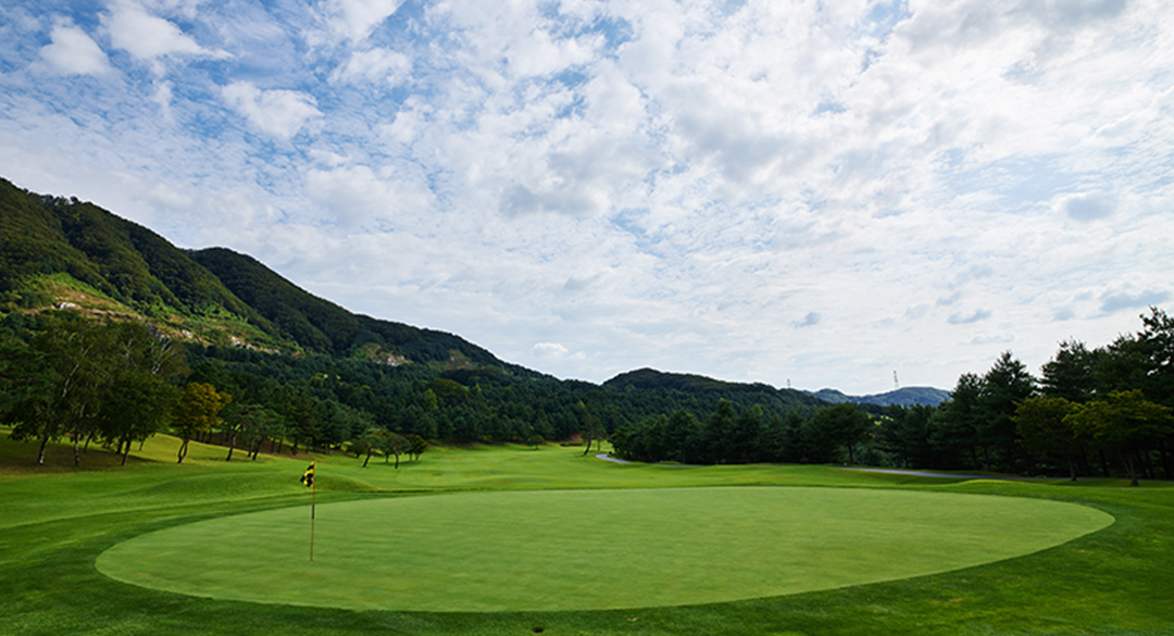 블루원용인컨트리클럽 골프장 예약 이미지 6