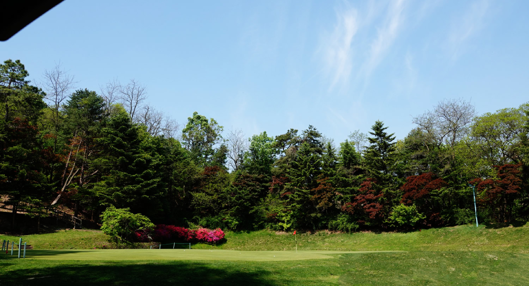 양지파인컨트리클럽 골프장 예약 이미지 11