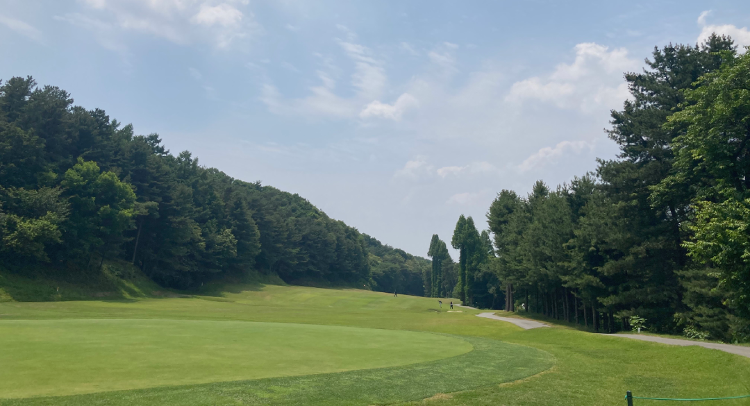 양지파인컨트리클럽 골프장 예약 이미지 4